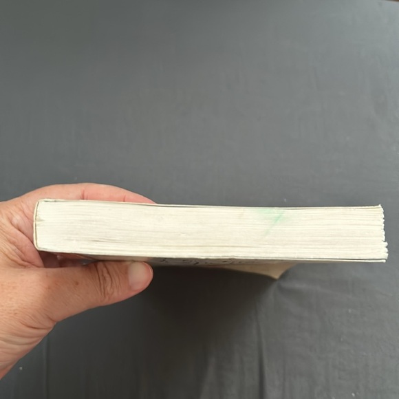 ☀️The Tale of Despereaux by Kate DiCamillo, illustrated by Timothy Basil Ering - Picture 3 of 8